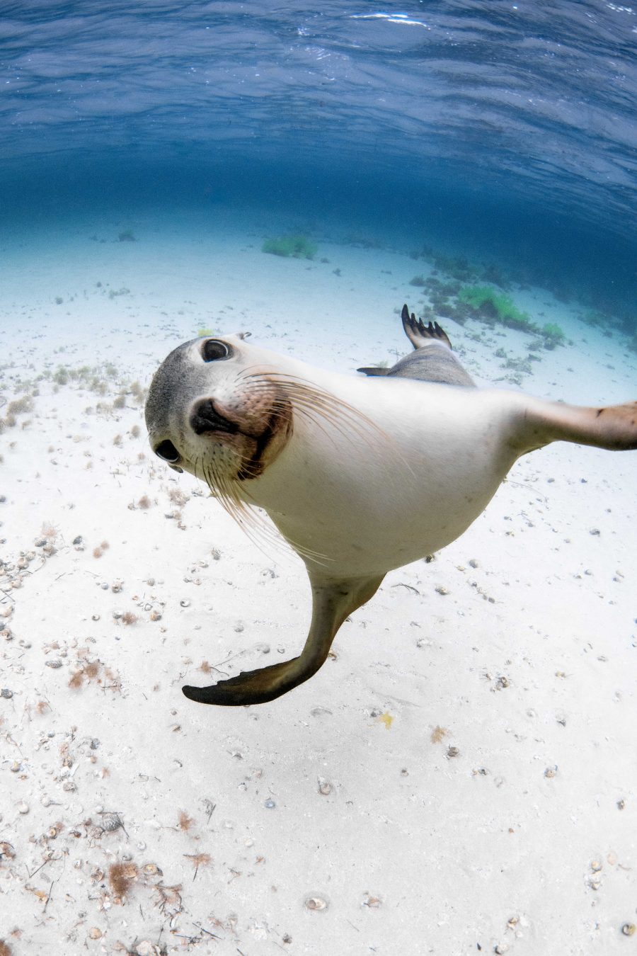 Hello!